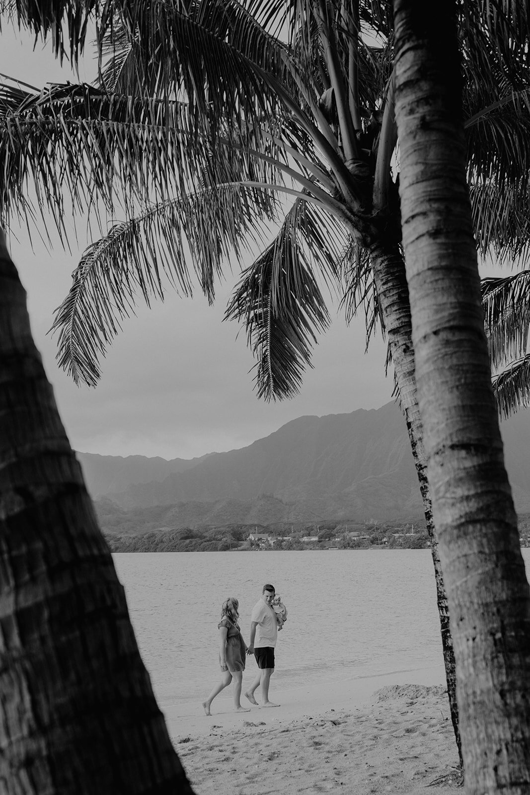 Couple silhouetted beneath palm trees at sunset, family photography location